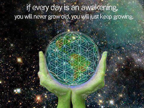Awaken to your Enlightenment!