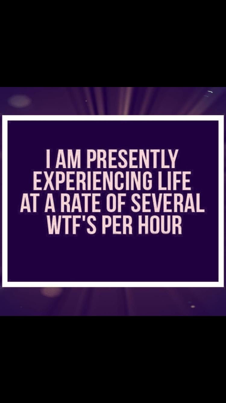 Enlightening Book of The Week!