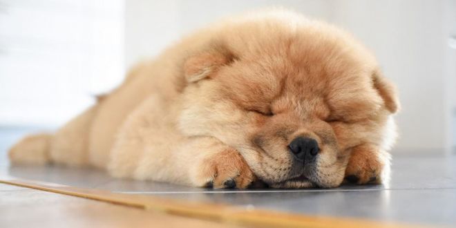 How to Abandon Laziness and Go For Your Dreams!