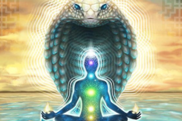 Life transformative coaching sessions to enter Samadhi!