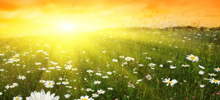 The Secrets to Being Fearless Loving and Free